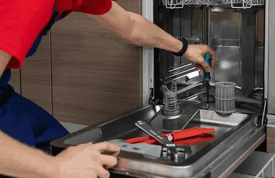 Constatare reparatie masina spalat vase