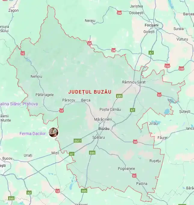 harta servicii reparatii electrocasnice in judetul buzau